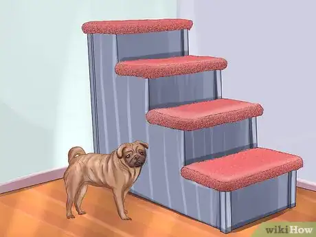 Immagine titolata Live with a Pug Dog Step 18