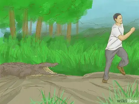 Immagine titolata Survive an Encounter with a Crocodile or Alligator Step 14