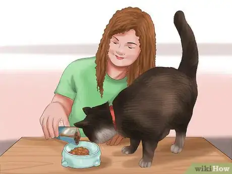 Immagine titolata Care for Your Cat Step 11