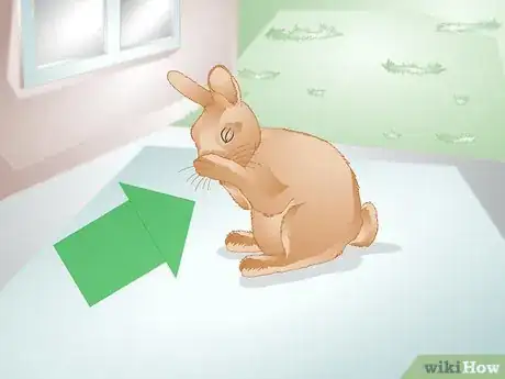 Immagine titolata Tell if Your Rabbit Is Lonely Step 1