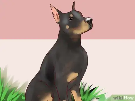Immagine titolata Train a Guard Dog Step 3
