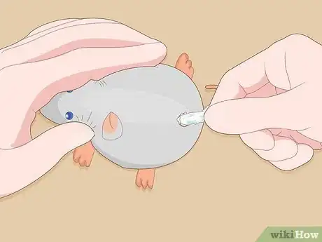 Immagine titolata Make Cat Toys out of Common Household Items Step 10