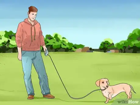Immagine titolata Stop Aggressive Behavior in Dogs Step 10