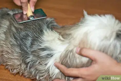 Immagine titolata Brush Mats out of Dog Hair Step 11