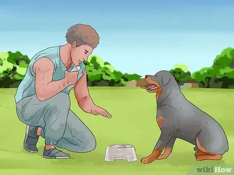 Immagine titolata Stop Aggressive Behavior in Dogs Step 11