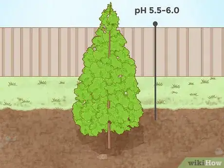 Immagine titolata Lower Soil pH Step 14