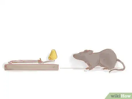 Immagine titolata Get Rid of Mice Step 7