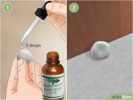 Immagine titolata Get Rid of Mice Fast Step 8