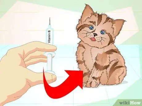 Immagine titolata Get a Sick Kitten to Eat Step 22