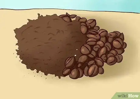 Immagine titolata Feed Worm Farm Worms Step 1Bullet6