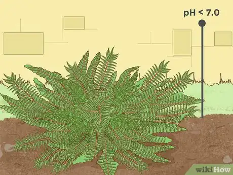 Immagine titolata Lower Soil pH Step 16