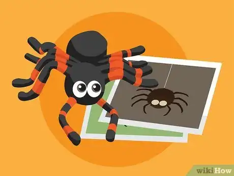 Immagine titolata Overcome the Fear of Spiders Step 04