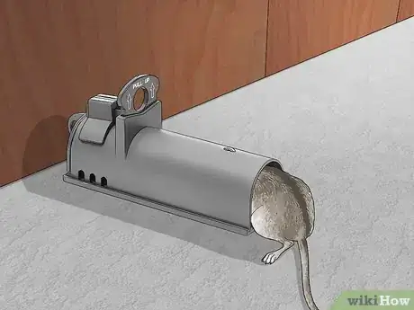 Immagine titolata Get Rid of Mice Fast Step 3