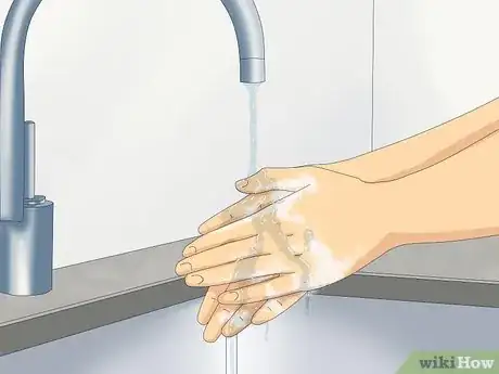 Immagine titolata Hold a Snake Step 1