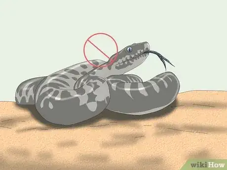 Immagine titolata Hold a Snake Step 5