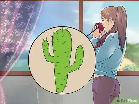 Immagine titolata Drink Cactus Water for Health Step 4