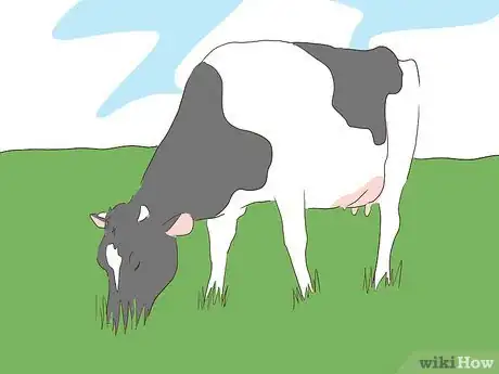 Immagine titolata Wean Cattle Step 9