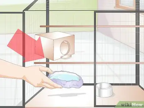 Immagine titolata Clean a Birdcage Step 10