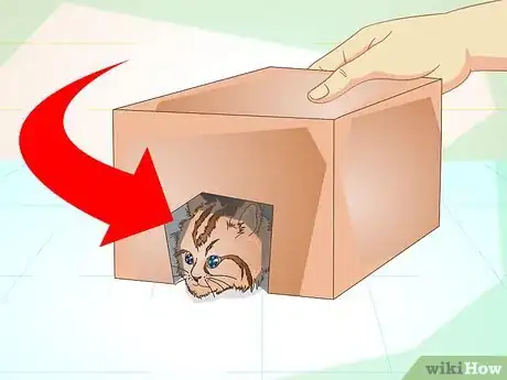 Immagine titolata Get a Sick Kitten to Eat Step 11