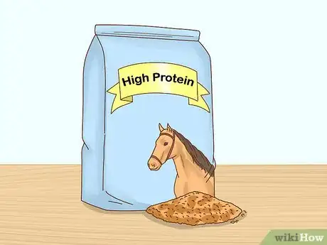 Immagine titolata Fatten up a Horse Step 9