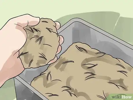 Immagine titolata Care for Your Box Turtle Step 6