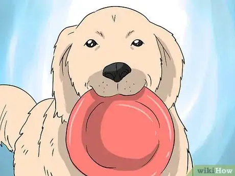 Immagine titolata Introduce Your Baby to Your Dog Step 11Bullet2