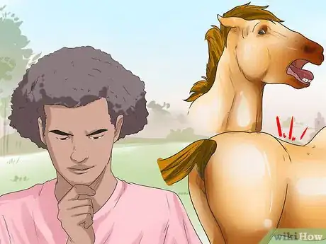 Immagine titolata Tell if Your Horse Needs Hock Injections Step 1