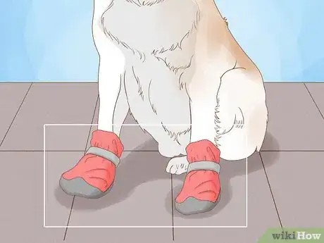 Immagine titolata Stop a Dog from Licking Its Paws with Home Remedies Step 10