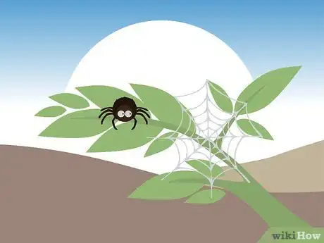 Immagine titolata Overcome the Fear of Spiders Step 14