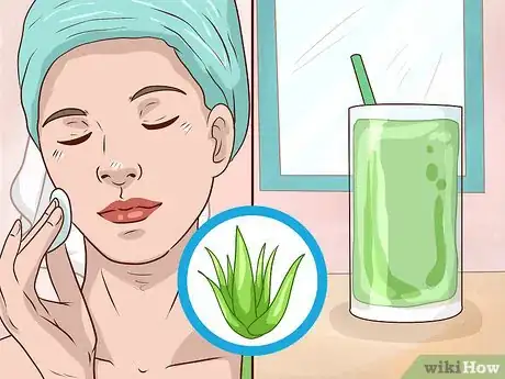 Immagine titolata Store Aloe Leaves Step 17