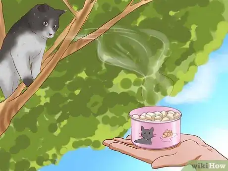 Immagine titolata Get a Cat out of a Tree Step 4