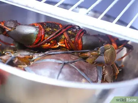 Immagine titolata Prepare Crabs Step 13