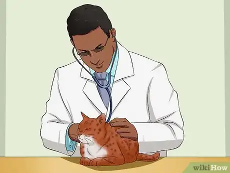 Immagine titolata Stop a Cat from Pulling Its Hair Out Step 3