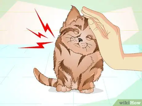 Immagine titolata Get a Sick Kitten to Eat Step 16