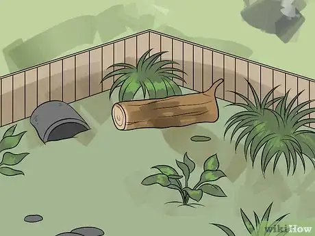 Immagine titolata Care for Your Box Turtle Step 8