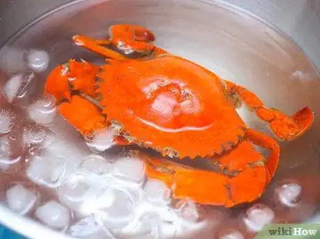 Immagine titolata Prepare Crabs Step 11