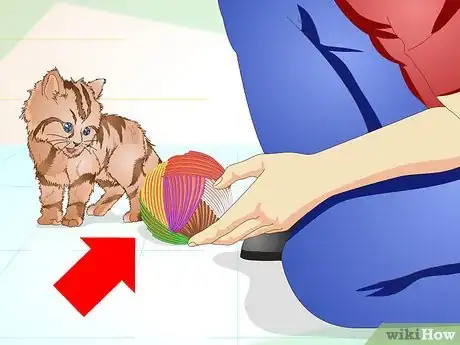 Immagine titolata Get a Sick Kitten to Eat Step 15