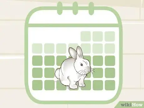 Immagine titolata Hunt Rabbit Step 2