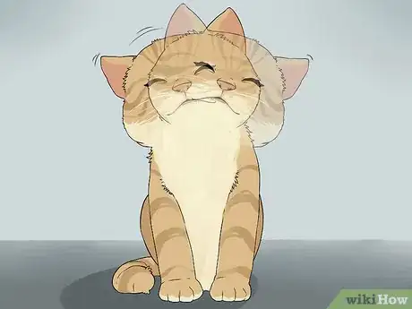 Immagine titolata Clean Your Cat's Ears Step 9