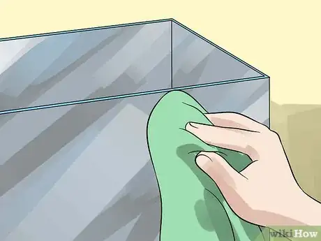 Immagine titolata Care for Your Box Turtle Step 7