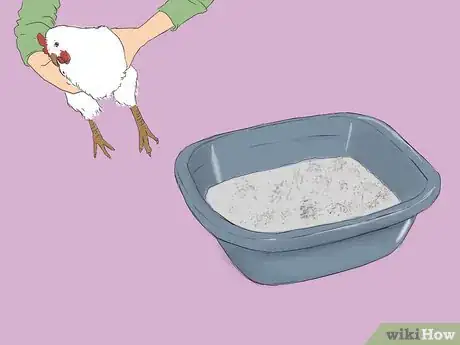 Immagine titolata Get Rid of Chicken Mites Step 4