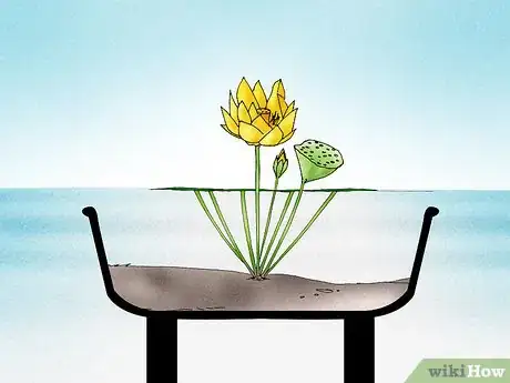 Immagine titolata Make a Lotus Pond Step 11