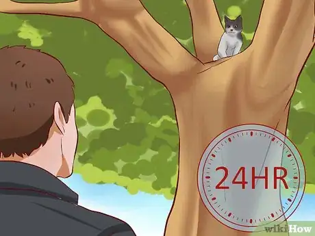 Immagine titolata Get a Cat out of a Tree Step 7