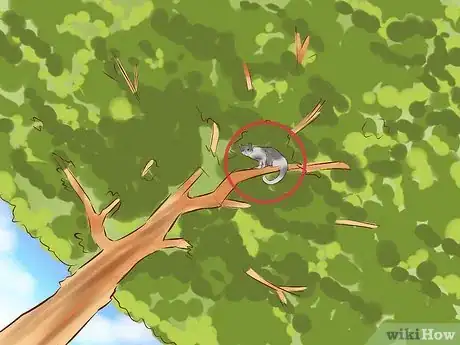 Immagine titolata Get a Cat out of a Tree Step 1