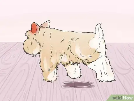 Immagine titolata Tell if a Dog Is in Pain Step 12