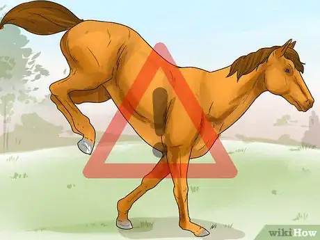 Immagine titolata Tell if Your Horse Needs Hock Injections Step 7