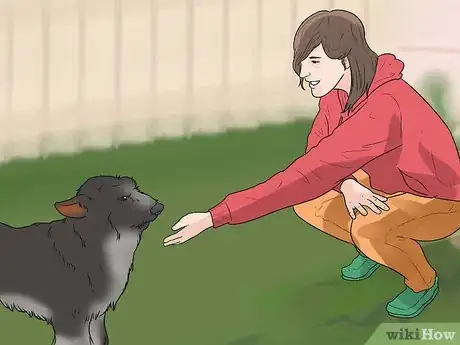 Immagine titolata Tell if a Dog Is in Pain Step 11