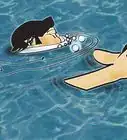 Fare Immersioni in Apnea