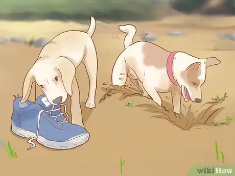 Immagine titolata Stop Destructive Behavior in Dogs Step 1