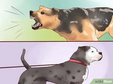 Immagine titolata Train a Guard Dog Step 1